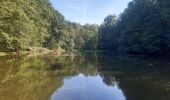 Randonnée Marche Theux - les digues . etang de chawion . devant staneux . les digues - Photo 11