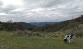 Excursión Bici de montaña Nébian - entre nebian et cabrieres - Photo 2