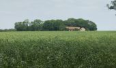 Tour Wandern Vignory - champ de la grange  - Photo 15