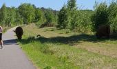 Excursión Bici de carretera Bergeijk - rando center parc Hollande  - Photo 1