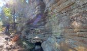 Tocht Stappen Fontainebleau - T1-Grotte Beatrix  - Photo 5