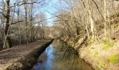 Trail Walking Saint-Hubert - rando arville 27-01-2024 - Photo 8