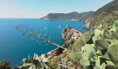 Tocht Stappen Vernazza - Corniglia gare Veratta - Photo 12