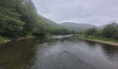 Tocht Stappen Vresse-sur-Semois - rando laforêt 23-08-2024 - Photo 3