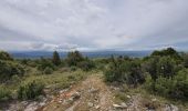 Trail Walking Lioux - les falaises de la madeleine par Lioux - Photo 3