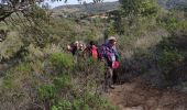 Randonnée A pied Roquebrune-sur-Argens - z les bois de Roquebrune 11-02-20 - Photo 6