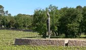 Randonnée Marche Le Luc - Tour hexagonale - L'oppidum de la Fouirette - La Mascaronne - Peyrassol - Plan Jaubert - L'amaurigue - Photo 19
