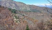 Tocht Stappen La Bastide - coll de palomere - Photo 17