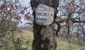 Trail Walking Saint-Izaire - st izaire douce - Photo 1