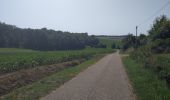 Tocht Stappen Lévignac-de-Guyenne - A travers les champs et vergers au sud de Lévignac De Guyenne - Photo 7