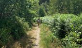 Trail Walking Chiny - Chiny via Burnéchamps - Photo 18