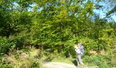 Trail On foot La Roche-en-Ardenne - WandArdRiv 17 : Bérismenil ruisseau de belle meuse - Photo 1