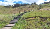 Trail Walking Erquy - cap erquy - Photo 4