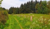 Tocht Stappen Gedinne - Balade à Gedinne - Photo 18