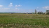 Trail Walking Rocourt-Saint-Martin - Rocourt St Martin du 13-03-2025 - Photo 2
