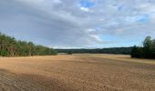 Percorso Marcia Le Vaudoué - Le Vaudoué entre champs et forêt - Photo 5