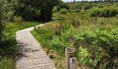 Tour Wandern Saint-Martin-de-l'Arçon - le Caroux - Photo 13