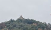 Excursión Senderismo Volx - VOLX . TOUR DE LA ROCHE AMÈRE 0 L M - Photo 8