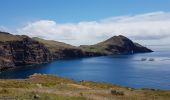 Trail Walking Caniçal - Madère : la presqu'île de Sao Lourenço - Photo 5