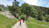 Trail Walking Soultzeren - Lac des Truites - Sentier du Neunlist  - Photo 4