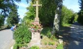 Tour Zu Fuß Mandelbachtal - Kneipprundwanderweg Erfweiler-Ehlingen - Photo 6