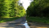 Randonnée Marche Tracy-le-Mont - en forêt de Laigue_2_Le Petit Octogone et l'Octogonet - Photo 2