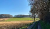 Tour Wandern Huldenberg - Ottemburg  - réserve naturelle de Rodebos - Photo 1