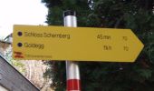 Randonnée A pied Goldegg - Goldegg-Schwarzach über Schernberg - Photo 5