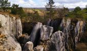 Excursión Senderismo Viroinval - Promenade vers le Fondry des chiens  - Photo 1