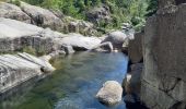 Randonnée Marche Pourcharesses - au coeur des gorges du chassezac au départ de Villefort  - Photo 9