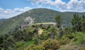 Trail On foot Municipal Unit of Fili - Κάστρο Φυλής - Ρέμα Θοδώρας - Φυλή - Photo 8