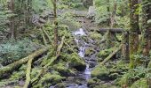 Randonnée Marche Arbois - Arbois Église Saint Just / Chapelle Notre Dame de l'Ermitage/ Cascade des Tufs/ Les Planches près d'Arbois / Cirque du Fer à Cheval / Belvédère de la Châtelaine/ La Roche du Feu/ Meslay/ Arbois  - Photo 8