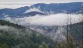 Tour Wandern Zimmerbach - Rando CLAD68 du 13/02/202 - Photo 5