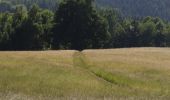 Tour Zu Fuß Reichenberg - NS Mojžíšův pramen - Císařský kámen - Photo 2