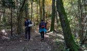 Trail Walking La Buisse - Roche Brune par le Grand Ratz - Photo 10