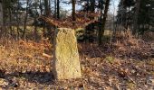 Tocht Te voet Neuchâtel - Neuchâtel Cadolles - Ch. de la Châtelainie - Photo 4