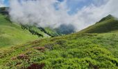 Randonnée Marche Ferrère - montagne d'Areng depuis la piste forestière après Férrères - Photo 5