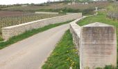 Trail Walking Vougeot - Clos Vougeot - Photo 1