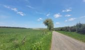 Tour Wandern Feitweiler - rando honville 18-05-2023 - Photo 6