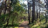 Excursión Senderismo Chorges - CHORGES camping clé des champs Cantheloube retour par le nord - Photo 1