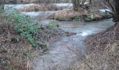 Tour Zu Fuß Lohr am Main - Ortswanderweg Lohr 8 - Photo 9