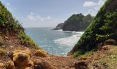 Randonnée Marche Le Lorrain - La Crabiere Vive - Savane La Pointe - Photo 1