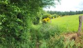 Tocht Stappen Houffalize - Engreux 080625 - Photo 20