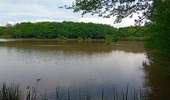 Trail Walking Bossieu - bossieu foret de bonnevaux - Photo 2