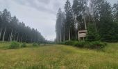 Tour Wandern Martelingen - rando vlessart 27-06-2022 - Photo 4