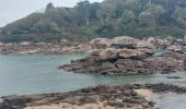 Trail Walking Pleumeur-Bodou - GR_34_EC_31_Pleumer-Bodou_Trebeurden_20241102 - Photo 19