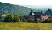 Tocht Te voet Sangerhausen - Steigerschleife - Photo 1