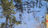 Randonnée Raquettes à neige La Llagonne - Les Bouillouses.( 66 MT LOUIS ) Pla des Aveillans-barrage des Bouillouses  - Photo 6