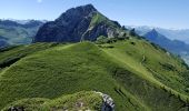 Tour Wandern Bellecombe-en-Bauges - Dent des portes e Mont Trelod  - Photo 5