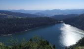 Trail Walking Orbey - Lac Blanc - Photo 4
